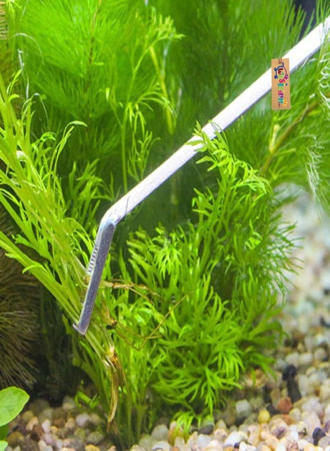Western Era Aquarium 38cm Straight Tweezer, Fish Tank Landscaping Pruning, Plant Trimming Tools, High Hardness, Toughness, Durable, Non-deform & Fracture, Special Design, Stable, Easy to Hold, Clean - Image 5
